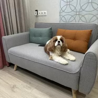 Диван Charm Google отзыв