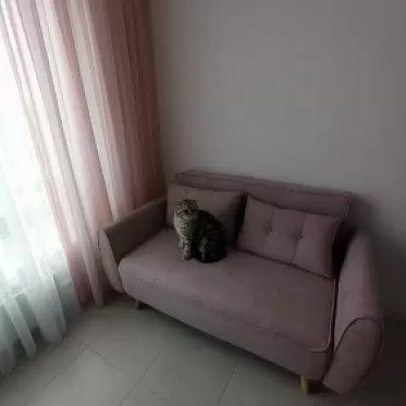 Диван-кровать Charm, пепельная роза 1631634450760.jpg