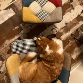 Оттоманка Hygge, слоновая кость/золото