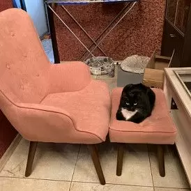 Оттоманка Hygge, слоновая кость/золото