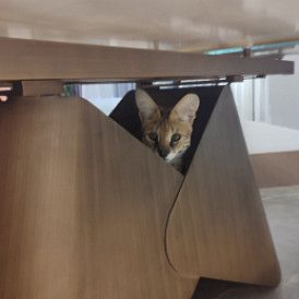 Стол раскладной Mirabel 160-240, стекло 3D/бронза