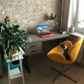 Кресло Swan Green