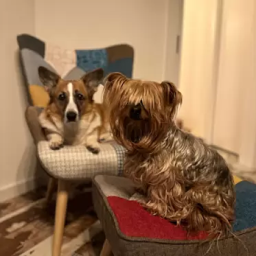 Кресло и оттоманка Hygge 2023_12_22