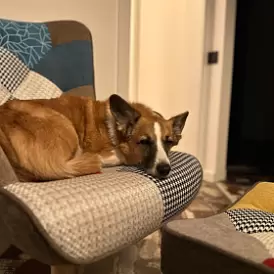 Оттоманка Hygge, слоновая кость/золото