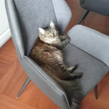 Стул Matilda, серый/антрацит