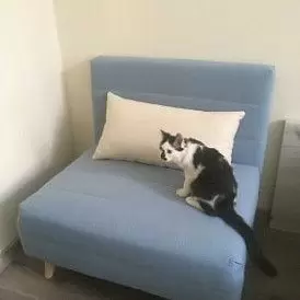 Кресло-кровать Flex, желтый