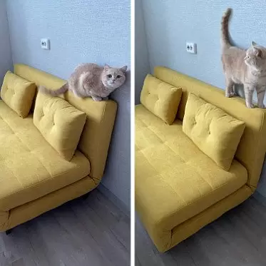 Диван-кровать Doris, желтый IMG-20210726-WA0033.jpg