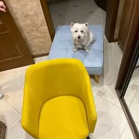 Оттоманка Diva, бирюзовый