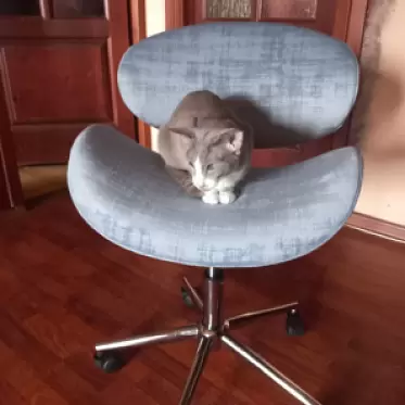 Кресло Miranda, серо-голубой/хром 1.png