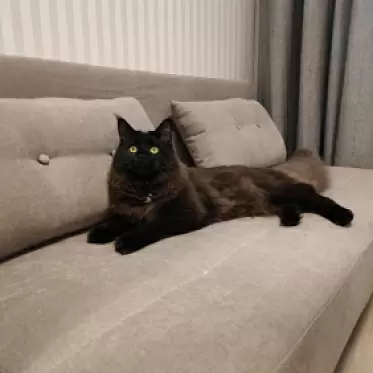 Диван-кровать Doris, серый/хром 5f02f89d-a96c- ... 720561da-1.jpg