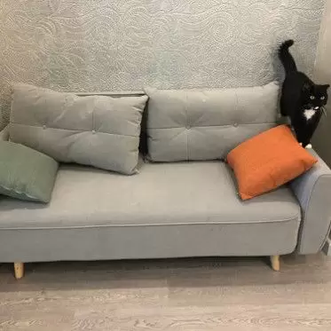 Диван Beatrix IMG-20230922-WA0004