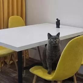 Стул Jackson, голубой/черный