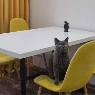 ВИДЕО Стул Jackson - обзор и сборка