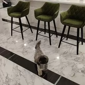 Стул полубарный Sherilyn (66), темно-зеленый