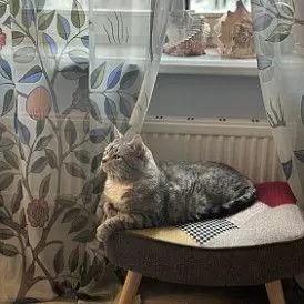 Оттоманка Hygge, слоновая кость/золото