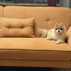 Комплект мягкой мебели Edinburgh, кремовый