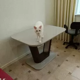 Стол раскладной Ester 160-200, бежевый/коричневый