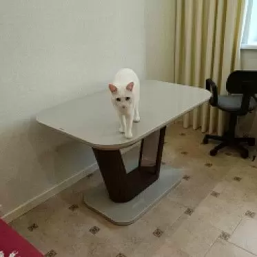 Стол Ester 120 IMG-20240608-WA0005