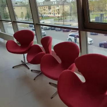 Кресло Swan IMG-20240905-WA0016