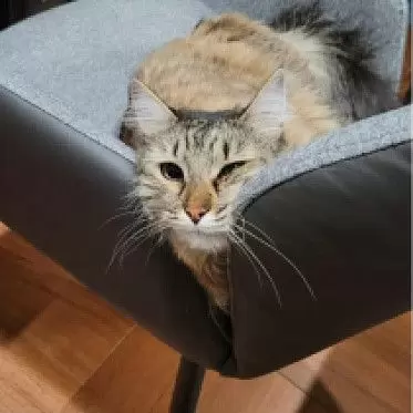 Стул Matilda, серый/антрацит