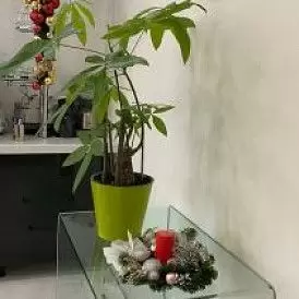 Стол письменный Infinity 120x70